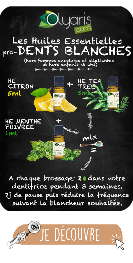 Huile Essentielle de Menthe Poivrée : Le Guide Complet par Olyaris